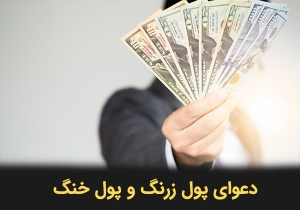 دعوای پول زرنگ و پول خنگ