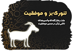 تئوری بز و موفقیت