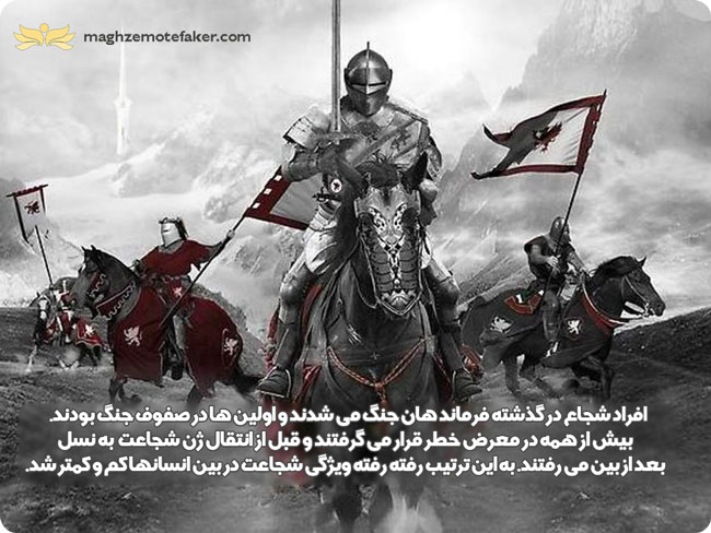 تئوری بز چیست؟