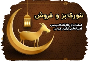 تئوری بز و فروش