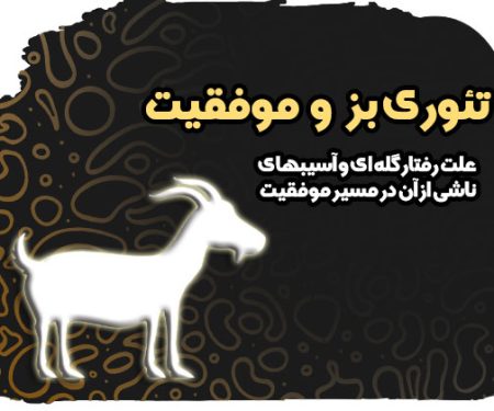 تئوری بز و موفقیت