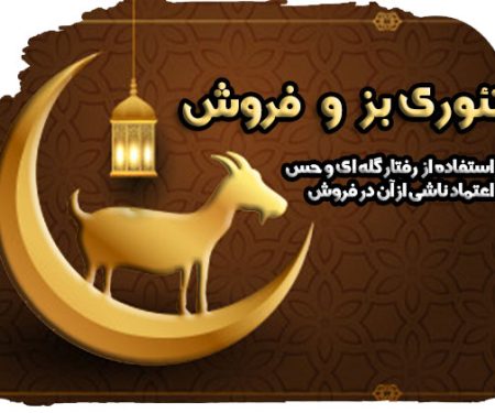 تئوری بز و فروش